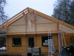 Erdgeschoss komplett