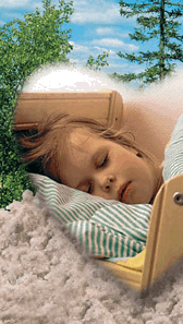 Leben im Blockhaus ist Leben in der Natur